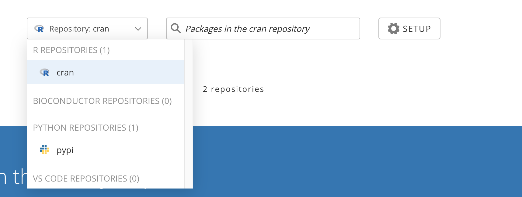 Screenshot of the Package Manager web interface listing the cran and pypi repositories with their package counts.